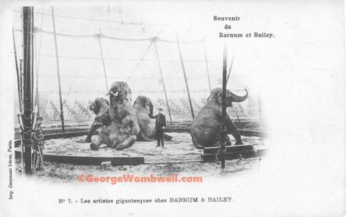 Barnum Bailey P aris Elephant Act
