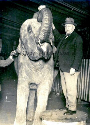 Bostock & Wombwell Elephant at Selby, but when & who copyrighted