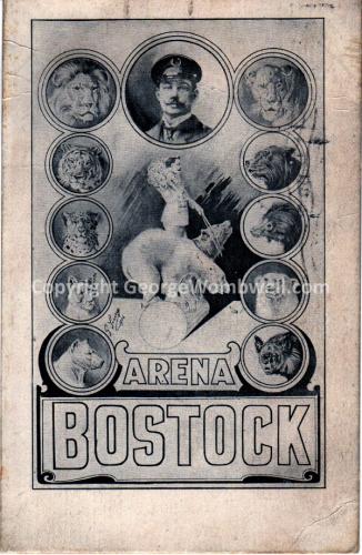 Bostock Arena Polar Bear 1907
